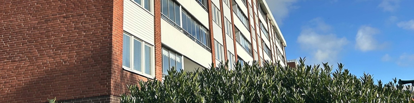 Höghöjdshus i tegel med buske i förgrunden