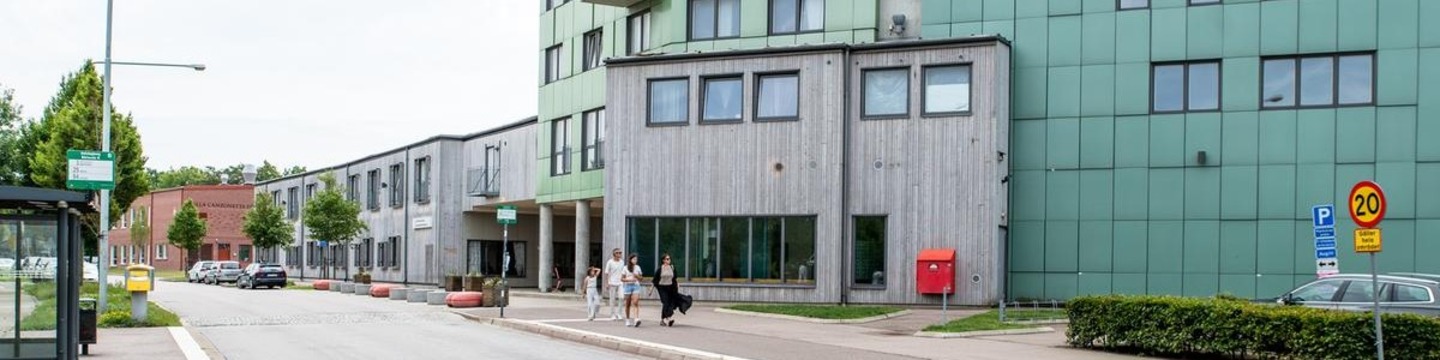 Bild på en gata med höga och låga hus i olika färger