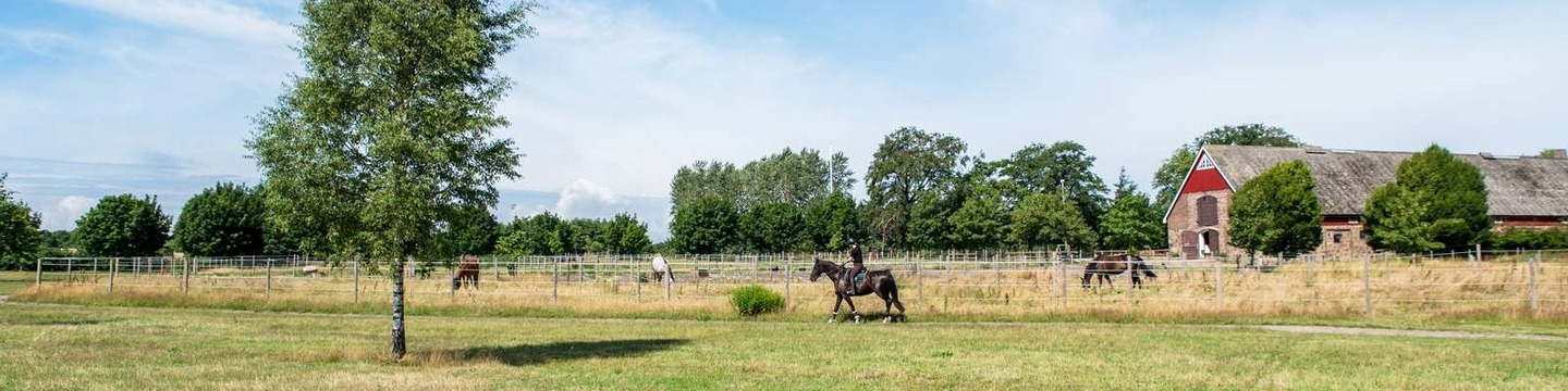 Ryttare rider framför hage i Gustavslund. 