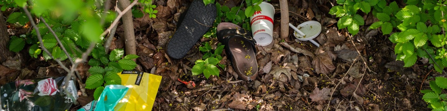 Bild på skräp som ligger i en häck